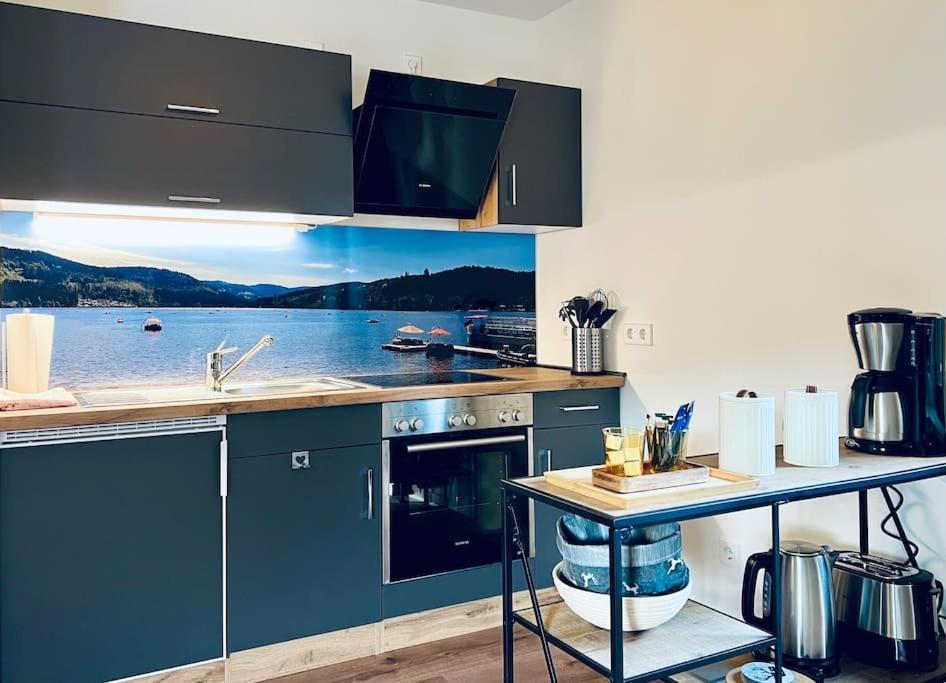 Ferienwohnung Niki Titisee-Neustadt Extérieur photo