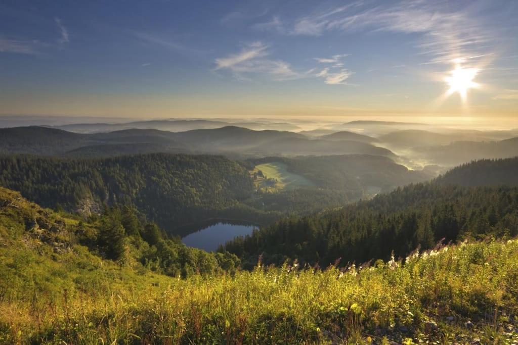 Ferienwohnung Niki Titisee-Neustadt Extérieur photo