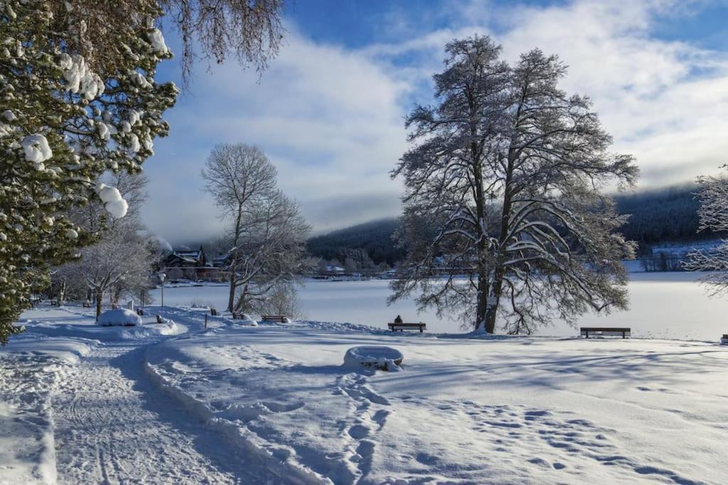 Ferienwohnung Niki Titisee-Neustadt Extérieur photo