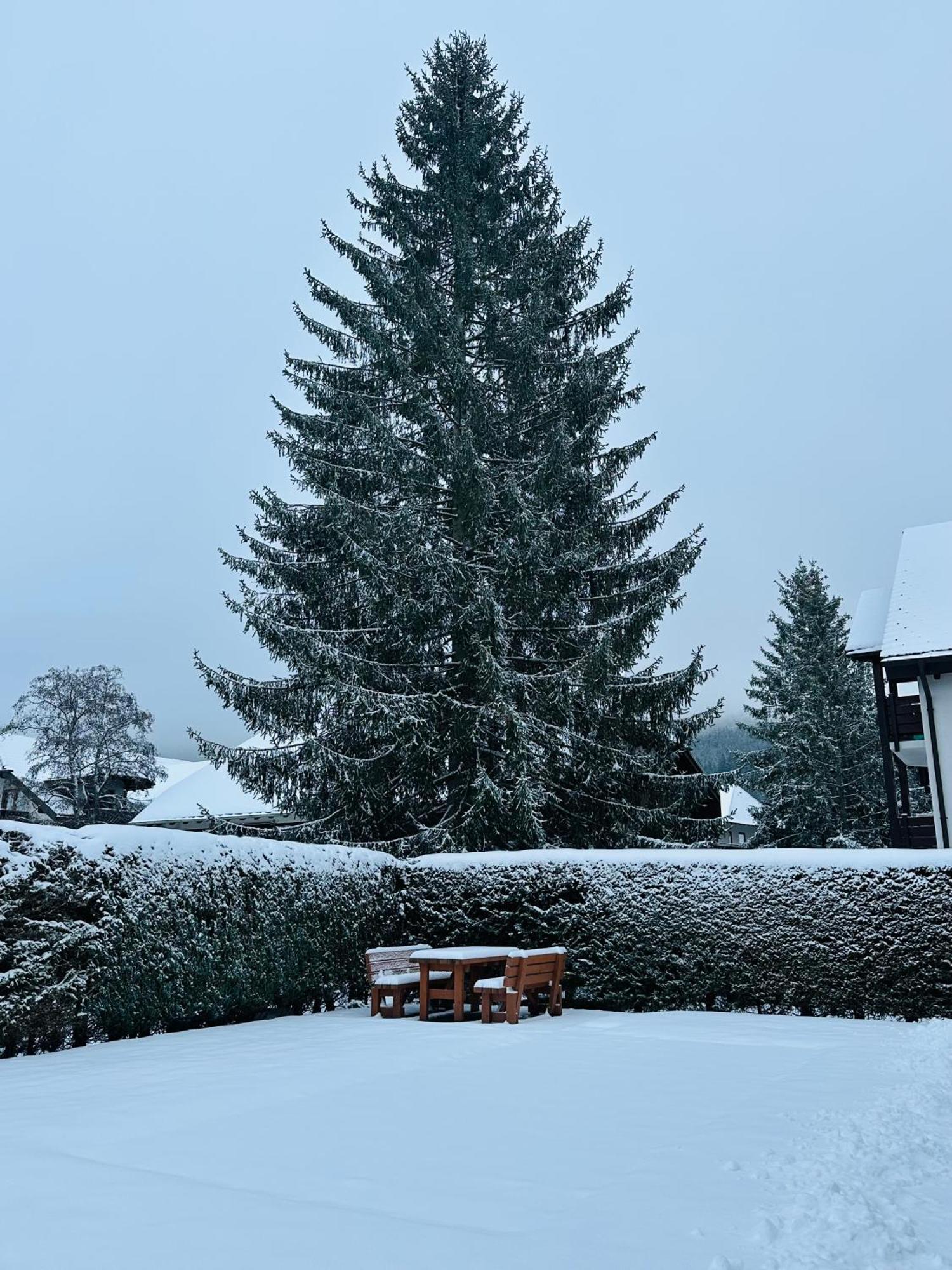 Ferienwohnung Niki Titisee-Neustadt Extérieur photo