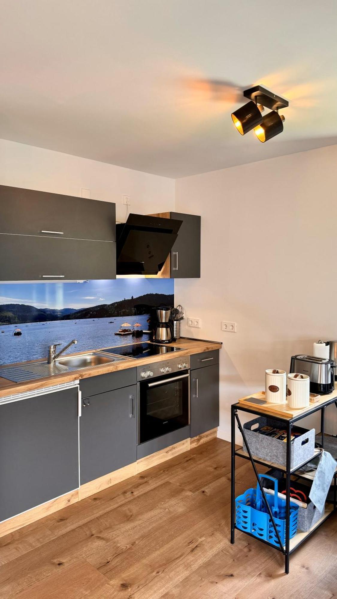 Ferienwohnung Niki Titisee-Neustadt Extérieur photo